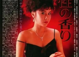 一级国产精品一级国产精品片,匠心独运，光影交织的艺术盛宴