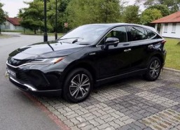 国产12p,引领科技潮流的创新之作