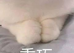 国产a斤,引领行业新潮流的匠心之作