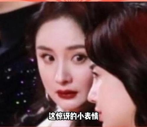 娱乐圈瓜怎么吃,轻松解锁明星八卦的奥秘